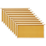 Honey Keeper Complete Deep Hive Body Kit, Painted and Assembled Beehive with 10-Frames, White Honey Keeper