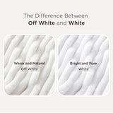 Bedsure GentleSoft King Size Blanket for Bed - Cozy Soft Blankets for Women, Cute Large Bedding Fleece Throws for Girls, Off White, 108x90 Inches Bedsure