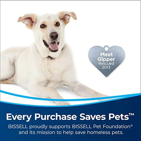 BISSELL Air180 Air Purifier For Home, Bedroom, HEPA Filter, Filters Smoke, Allergies, Pet Dander, Odor, Dust, Gray, 3496+ Bissell