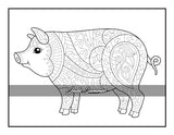 100 Animals: An Adult Coloring Book with Lions, Elephants, Owls, Horses, Dogs, Cats, and Many More! FILLBOSS