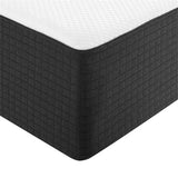 Modway Aveline 16” Gel Infused Memory Mattress with CertiPUR-US Certified Foam Queen Mattress Modway