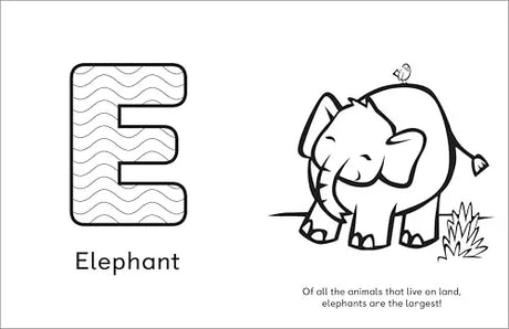 A Is for Animals!: Preschool Coloring Book Rockridge Press