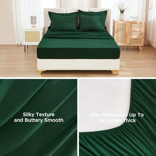 Andency Queen Comforter Set 7 Piece Dark Emerald Green - Bed in a Bag Queen Boho Lightweight Fluffy Tufted Bedding Sets with Comforter, Sheets, Pillowcases & Shams Andency