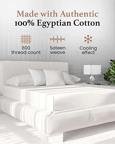 Good Sleep Bedding Twin XL Fitted Sheet - 800 TC Extra Long Twin Sheets for Dorm, 100% Egyptian Cotton Fitted Sheet Twin XL, 16" Deep Pocket, Soft & Breathable, Sateen Weave - White Good Sleep Bedding