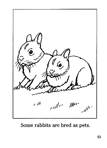 Farm Animals Coloring Book (Dover Little Activity Books: Animals) Dover Publications