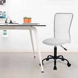 FDW Home Office Chair Mid Back Mesh Desk Chair Armless Computer Ergonomic Task Rolling Swivel Chair Back Support Adjustable Modern with Lumbar Support,White FDW