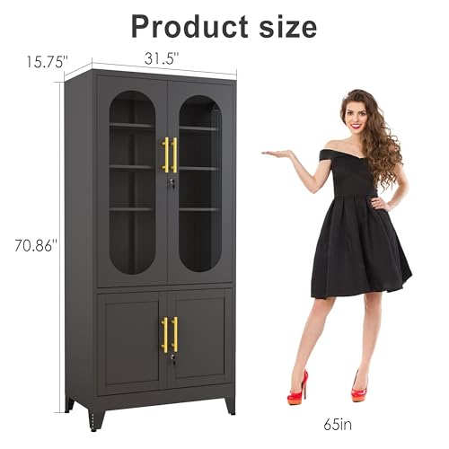 GAIOUS Metal Storage Cabinet with 2 Glass Doors, 71" Tall Lockable Cabinet with Adjustable Shelves, Black Steel Versatile Storage Cabinets for Home Office Garage Gym School GAIOUS