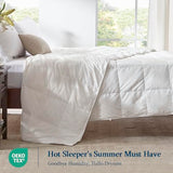 Globon Summer Down ComforterBlanket Queen Size, Extra Lightweight Duvet Insert for Hot Sleepers, Noiseless & Extra Soft,90x90 inches,10 Ounce Fill Weight, White Globon