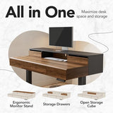 HUANUO Standing Desk with Drawers, 48 Inches Electric Height Adjustable Desk with Storage, Whole-Piece Board Sit Stand Up Desk with Monitor Shelf, Black Walnut HUANUO