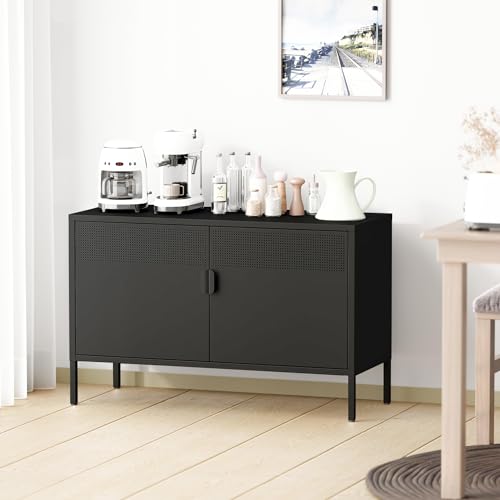 Chshin Metal Storage Cabinet with Doors,Black Accent Cabinet,Metal Locker Storage Cabinets,2 Door TV Media Stand with Removable Shelves for,Home,Office,Entryway,Living Room Chshin