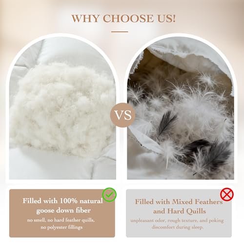 Gehtmnl Goose Down Fiber Comforter King Size – All Season Naturally Breathable Down Comforters, Luxury Hotel Collection Duvet Insert with 8 Corner Tabs, Cotton Fabric & Baffle Box (White,65oz Fill) Gehtmnl