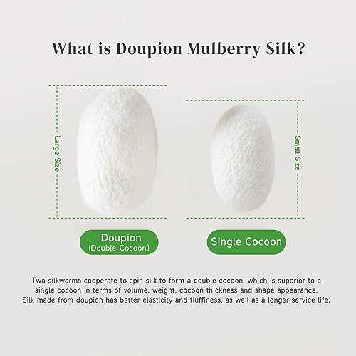 THXSILK Pure Mulberry Silk Comforter Cool for Summer, Grade 7A Natural Mulberry Silk Filled Duvet Luxury Bedding, Cotton Cover, King Size 102in x 91in/260cm x 230cm, Weight 1.98lb/0.9kg THXSILK