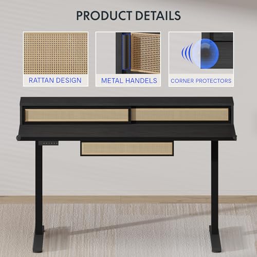 FLEXISPOT Q4 One-Piece Standing Desk with Rattan Drawers, 48 x 24 Inch Adjustable Height, Electric Stand Up Table with Monitor Shelf, Home Office Ergonomic Computer Desk with Memory Presets, Black FLEXISPOT