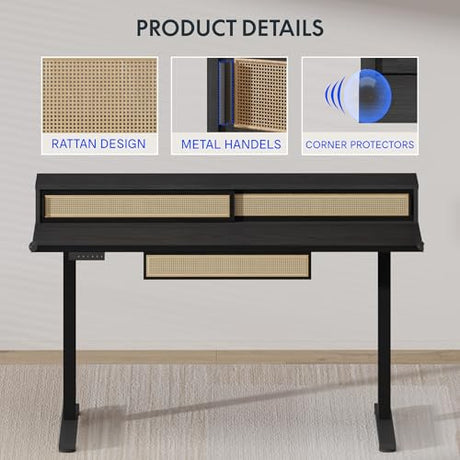 FLEXISPOT Q4 One-Piece Standing Desk with Rattan Drawers, 48 x 24 Inch Adjustable Height, Electric Stand Up Table with Monitor Shelf, Home Office Ergonomic Computer Desk with Memory Presets, Black FLEXISPOT