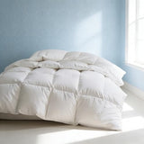 Martha Stewart Luxury White Goose Feathers Down Fiber Duvet Insert Queen Size - Hotel Collection 100% Cotton Comforter, All Season Medium Warmth, Breathable, Hypoallergenic, 90 x 90 Inch Martha Stewart