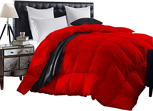 All Season Goose Down Single Baffle Box Comforter for Queen/Full -Red Solid 100% Egyptian Cotton Quilted, Extra Soft Cooling Duvet Insert 500 GSM Fill Power Lightweight Only Comforter BesBedding