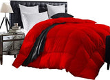 All Season Goose Down Single Baffle Box Comforter for Queen/Full -Red Solid 100% Egyptian Cotton Quilted, Extra Soft Cooling Duvet Insert 500 GSM Fill Power Lightweight Only Comforter BesBedding