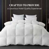 WhatsBedding Feather Down Fiber White Comforter,All Season Luxury Bed Comforter,Ultra Soft 100% Cotton Duvet Insert, Twin Size 68"x90" WhatsBedding