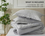 CozyLux Queen Comforter Set - 3 Pieces Light Grey Soft Luxury Cationic Dyeing Queen Comforter for All Season, Light Gray Breathable Lightweight Fluffy Bedding Sets with 1 Comforter and 2 Pillow Shams CozyLux
