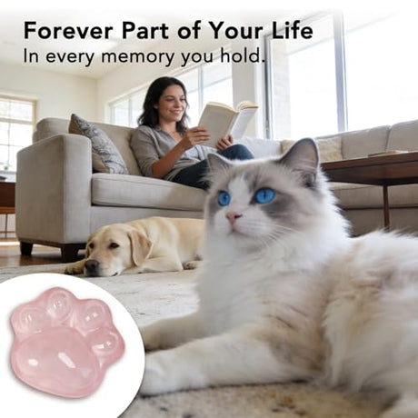 Pet Loss Sympathy Gift – Rose Quartz Heart Crystal with Memorial Card, In Loving Memory Keepsake, Healing Crystal for Dog Loss, Bereavement Support Gift, Pocket Hug for Easter Comfort (Pet Loss) Nuyviare
