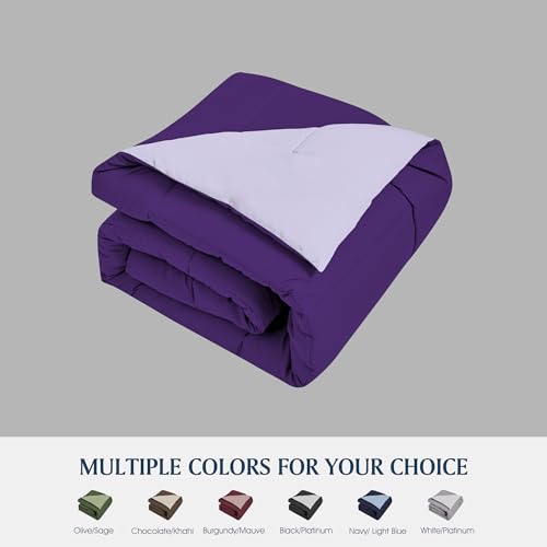 Blue Ridge Home Fashions Comforter Breathable Microfiber Duvet Insert, Summer Cooling Winter Warm Reversible Down Alternative Quilt Comforter for All Season, Full/Queen, Purple/Violet Blue Ridge Home Fashions