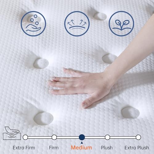 Queen Size Mattresses, 14 Inch Queen Mattress in a Box, Medium Firm Hybrid Mattress with Pocket Springs, Pressure & Pain Relief, Strong Edge Support, Ultimate Motion Isolation SUAYEA