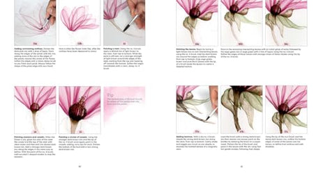How to Paint Transparent Watercolour Flowers WoodArtSupply