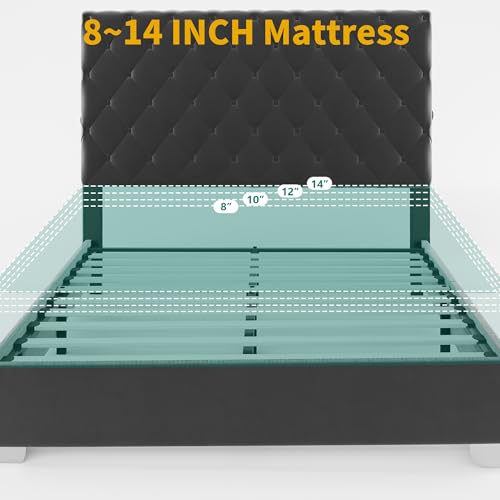 DWVO King Bed Frame with 53" Tall & 2 Charging Station, Velvet Upholstered Platform Bed with Button Tufted Headboard,No Box Spring Needed,Noise-Free (Black, Queen) DWVO