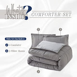 Elegant Comfort 3-Piece Reversible Comforter Set, All Season Cozy, Soft Down Alternative, Quilted - Box Stitched - Duvet Insert with 4 Corner Tabs, Comforter with Shams, Twin XL, Gray/Silver Elegant Comfort
