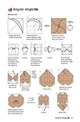 Origami Animal Boxes Kit: Cute Paper Models with Secret Compartments! (14 Animal Origami Models + 48 Folding Sheets) Tuttle Publishing