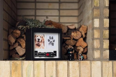 OtterPets Dog Urn for Ashes, 4 Customizable Displays with Paw Print Ink Kit and Flannel Bag, Pet Urns for Dogs Ashes, Pet Cremation Box, Cat Urn for Ashes, Dog Ashes Keepsake (Black) OtterPets