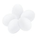 SunGrow Fake Wooden Eggs to Train Birds from Laying in The Nesting Boxes & to Stop from Eating Own Eggs, White Color, 5 Pack Suitable for Chicken and Duck SunGrow