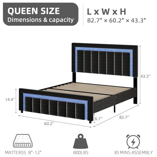 Queen Size Bed Frame with LED Lights and Velvet Upholstered Headboard, Bed Frame Queen Size with Modern Diamond Headboard Adjustable, Wooden Slats Support, Noise Free, No Box Spring Needed, Black HOMBCK