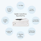 Mommesilk Silk Comforter/Duvet/Quilt, 100% Natural Silk Bedding Blanket, Cool for Summer, Machine Washable White, Full 76x87 Inch Mommesilk