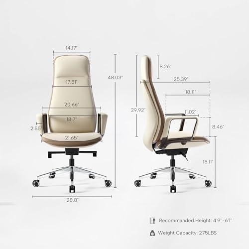 EUREKA ERGONOMIC Alto Leather Desk Chair, Silicone Leather Office Chair with Wheels, High Back Office Chair, Executive Office Chair Comfy for Home & Office, Off-White EUREKA ERGONOMIC