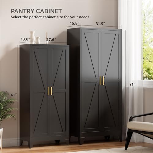 YNIQUESTLE Farmhouse Pantry Cabinet with Barn Doors, 71" H x 31.5" W, 5-Tier Metal Storage Cabinet with 4 Adjustable Shelves for Kitchen Garage Dining Room, Black 1 Pack YNIQUESTLE