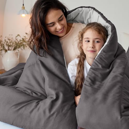 Exclusivo Mezcla Lightweight Reversible King Size Comforter Set, Down Alternative Comforter with 2 Pillow Sham, King Size Bedding Set for All Seasons, Grey Exclusivo Mezcla