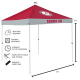 Logo Brands NCAA Alabama Crimson Tide Economy Canopy Tailgate Tent (9' x 9') – Powder-Coated Steel Frame, Water-Resistant Polyester, Team Color Design Logo Brands