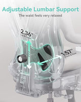 Hbada P5 Ergonomic Office Chair, Desk Chair with Adjustable Lumbar Support and Height, Comfortable Mesh Computer Chair with Footrest 2D Headrest, Swivel Tilt Function Black Hbada
