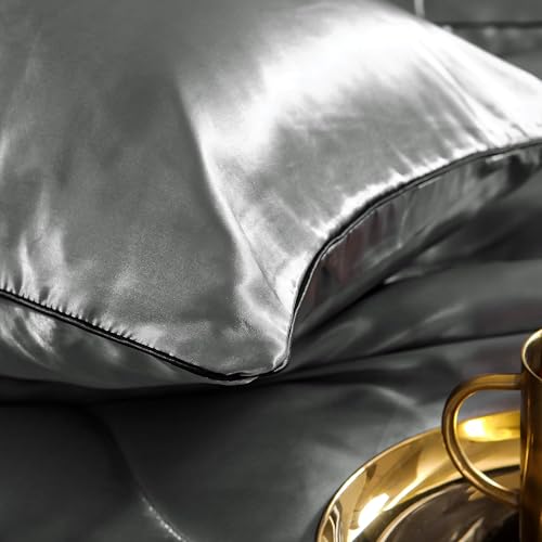 Holawakaka Luxurious Solid Satin Silk Like Comforter Set Ultra Soft Silky Quilt Breathable Bedding Bed-in-A-Bag Queen Size (Grey) Holawakaka
