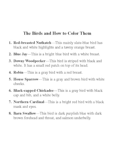 Birds Mini Stained Glass Coloring Book (Dover Little Activity Books: Animals) Dover Publications