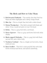 Birds Mini Stained Glass Coloring Book (Dover Little Activity Books: Animals) Dover Publications