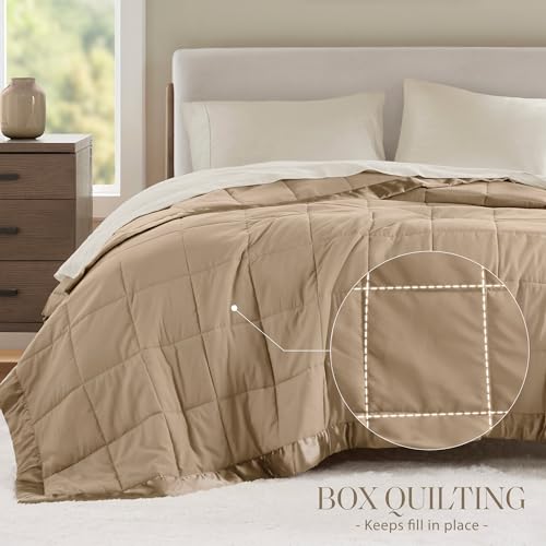 Madison Park Windom Down Alternative Blanket, Premium 3M Scotchgard Moisture Wicking Treatment, Lightweight and Soft Bed Cover For All Season, Satin Trim, Brown Twin Madison Park