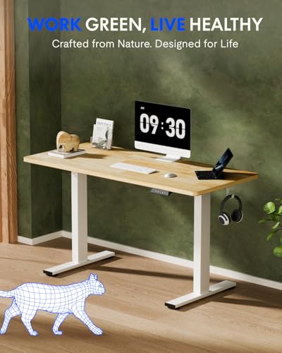 FLEXISPOT EN1 Solid Wooden Single-Piece Standing Desk, 48 x 24 Inches Sit Stand Desks for Home Office and Gaming (White Frame + Rubber Wood Top, 2 Packages) FLEXISPOT