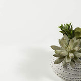 Tvilum Element Wide 5 Shelf Bookcase, Tall, White Tvilum