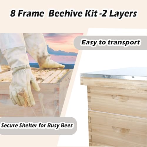 POLLIBEE Beehive 8 Frame Bee Hive Starter Kit, Bee Hives Include 1 Deep Brood Bee Box and 1 Medium Hive Box with Bee Frames and Waxed Beehive Foundation, Complete Bee Hive for Beginner - WoodArtSupply