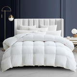 Maple&Stone Queen Feather Down Comforter Lightweight White Down Duvet Insert Ultra Soft 100% Cotton Cover Fluffy Queen Comforter 90 x 90 Inches Maple&Stone