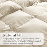 Joysoul Twin Size Down Comforter - All Season Ultra Soft Goose Down & Feather Fiber Fill, Luxury Hotel Cream Duvet Insert with Corner Tabs (68" X 88") Joysoul