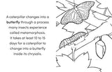 Bug Book for Kids: Coloring Fun and Awesome Facts (A Did You Know? Coloring Book) WoodArtSupply
