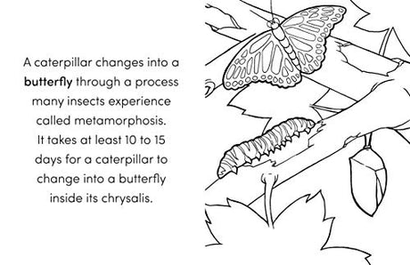 Bug Book for Kids: Coloring Fun and Awesome Facts (A Did You Know? Coloring Book) WoodArtSupply